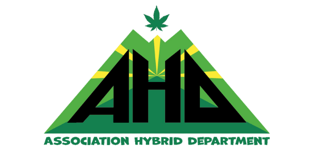 Logo Hybrid Department