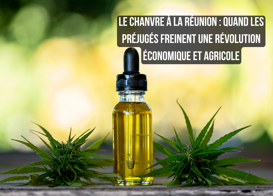 Le Chanvre à La Réunion : Quand les Préjugés Freinent une Révolution Économique et Agricole